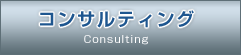 コンサルティング Consulting